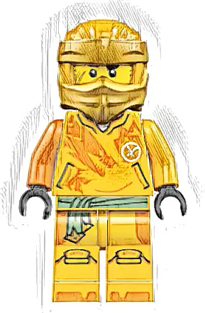 Arin - Shirt with Orange Dragon, Head Wrap