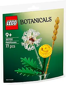 Pudełko zestawu LEGO® 30701 LEGO 30701 Botanicals Kwiaty polne