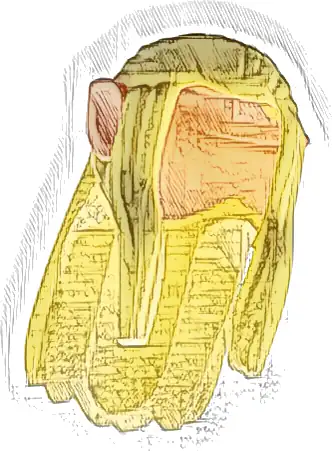 Minifigure, Hair Long Wavy with Braid and Molded Hard Plastic Light Nougat Elf Ears Pattern - Flexible Rubber