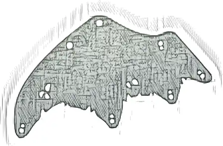 Cloth Wing Dragon, Tattered