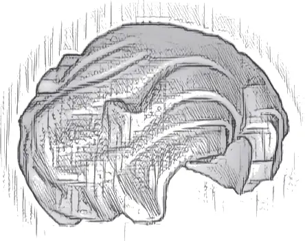 Minifigure, Hair Female Short, Wavy with Side Part