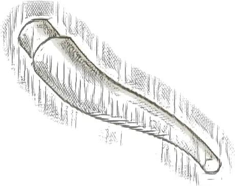 Cattle Horn, Long