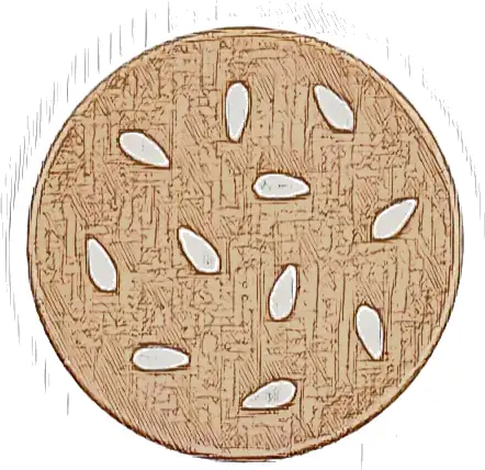 Tile, Round 2 x 2 with Bottom Stud Holder with Tan Sesame Seeds Pattern