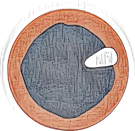 Tile, Round 2 x 2 with Bottom Stud Holder with Eye with Black Pupil and White Teardrop Shaped Glint Pattern