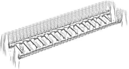 Ladder 16 x 2 1/2 with 15 Rungs