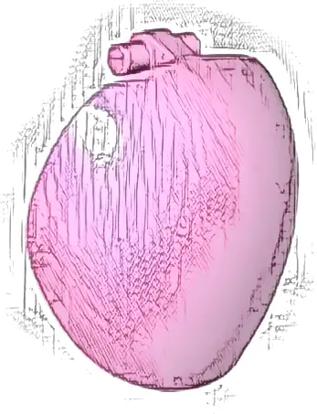 Large Figure Armor, Round, Smooth with Bar Handle - Free Ends