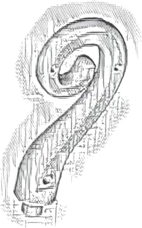 Plant Grass Stem / Horn, Spiral Curve