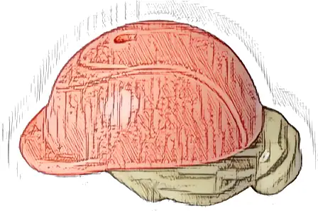 Mini Doll, Hair Combo, Hair with Hat, Bun and Side Bangs, Hole on Top with Molded Coral Horse Riding Helmet Pattern