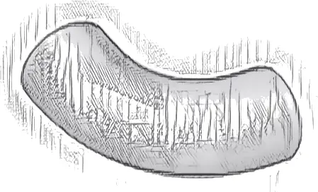 Brick, Round Tube 1 x 1 d. 90 degrees Elbow Macaroni - No Stud - Type 2 - Axle Hole