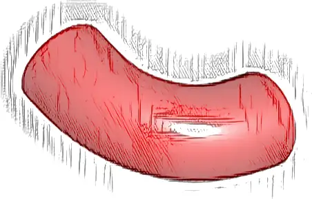 Brick, Round Tube 1 x 1 d. 90 degrees Elbow Macaroni - No Stud - Type 2 - Axle Hole