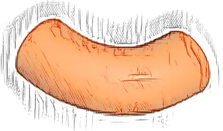 Brick, Round Tube 1 x 1 d. 90 degrees Elbow Macaroni - No Stud - Type 2 - Axle Hole