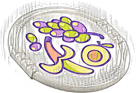 Duplo Utensil Disk with Coral, Bright Light Yellow, Lime, and Medium Lavender Apple, Banana and Grapes Pattern