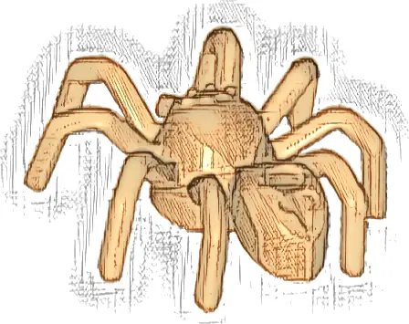 Spider with Elongated Abdomen