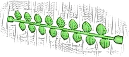 Duplo, Plant Vine 14L with Leaves and Stud Receptacles on Ends