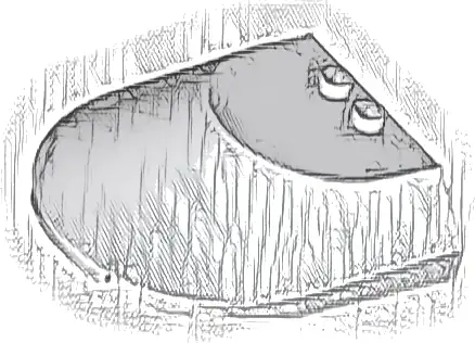 Windscreen 6 x 6 x 1 1/3 Curved