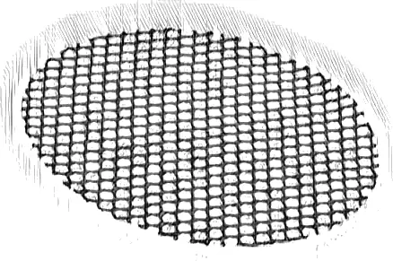 Net, String 10 x 10 Circle