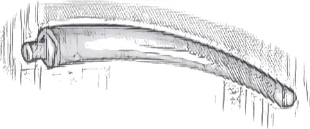 Dinosaur Tail End Section / Horn