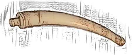 Dinosaur Tail End Section / Horn