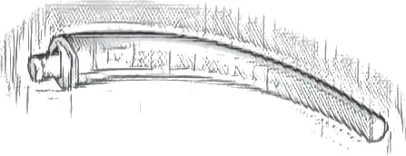 Dinosaur Tail End Section / Horn