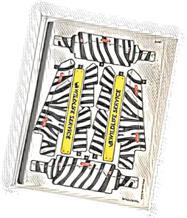 Sticker Sheet for Set 42198 - (10110642/6522694)