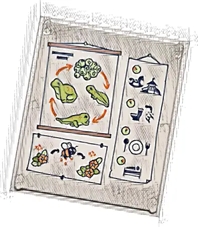 Glass for Window 1 x 6 x 6 Flat Front with Lime and Yellowish Green Frogspawn, Tadpoles and Frog Life Cycle with Orange Arrows, Flowers, Bee and Black Daily Plan Pictures Pattern