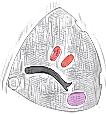 Brick, Round Corner 4 x 4 x 2 2/3 Dome Top with Black Closed Eyelid, Bright Pink Cheek Oval, and Red Eyelashes Pattern Model Left Side
