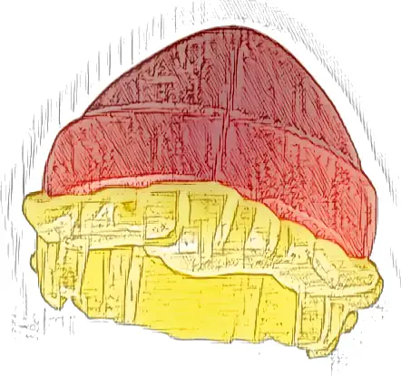 Mini Doll, Hair Combo, Hair with Hat, Short Tousled with Molded Red Beanie / Knit Cap Pattern