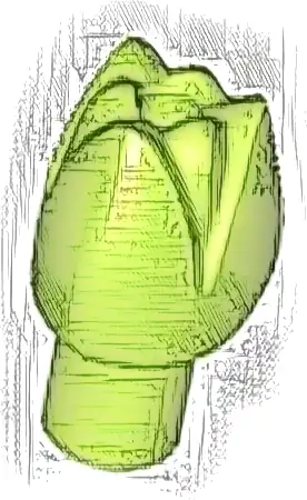 Plant Flower Tulip with Bar and Small Pin Hole