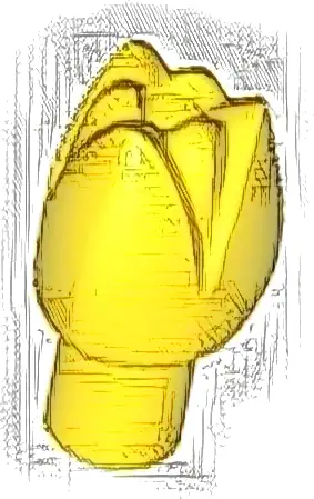 Plant Flower Tulip with Bar and Small Pin Hole