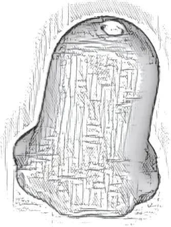 Plant Flower Bell Shaped with Small Pin Hole