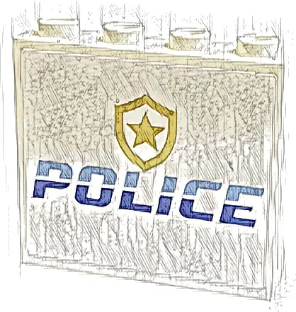 Panel 1 x 4 x 3 with Side Supports - Hollow Studs with Bright Light Blue and Blue 'POLICE' and Gold Star Badge Logo Pattern (Sticker) - Set 60316