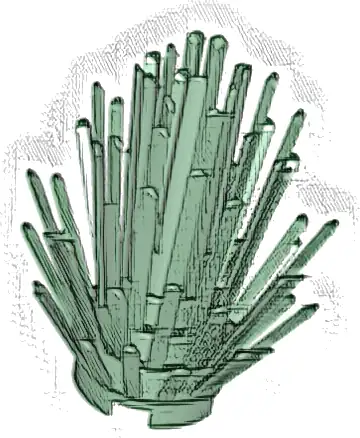 Plant Prickly Bush 2 x 2 x 4
