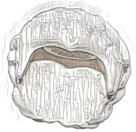 Minifigure, Hair Female Short, Braided on Sides, Hole on Top