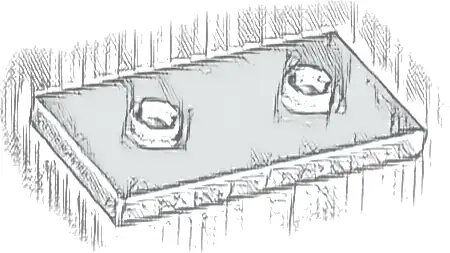 Plate, Modified 2 x 4 with 2 Studs (Double Jumper)
