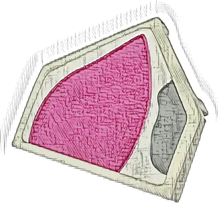 Wedge 2 x 2 x 2/3 Pointed with Dark Pink Shape and Light Bluish Gray Spot Pattern (Pua Right Ear) (Sticker) - Set 43226