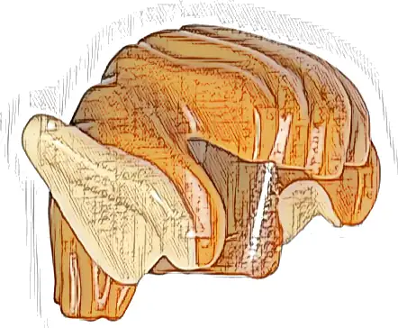 Minifigure, Hair Short, Swept Back with Molded Light Nougat Elf / Goblin / Orc Ears Pattern