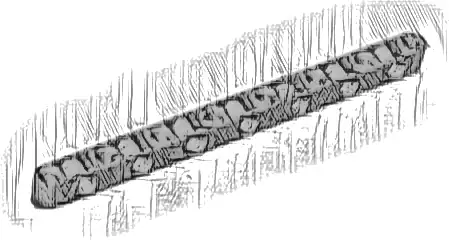 Technic, Liftarm, Modified Perpendicular Holes Thick 1 x 15