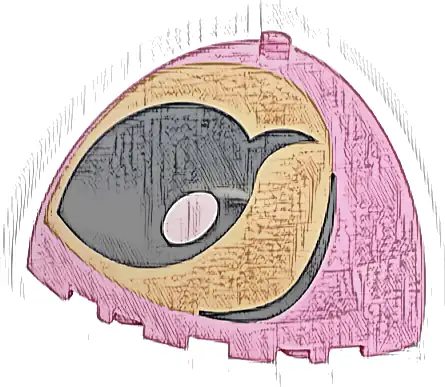 Brick, Round Corner 5 x 5 x 3 1/3 Dome Top with Tan Spot, Black Eyebrow and Eye Open with White Glint Pattern Model Right Side