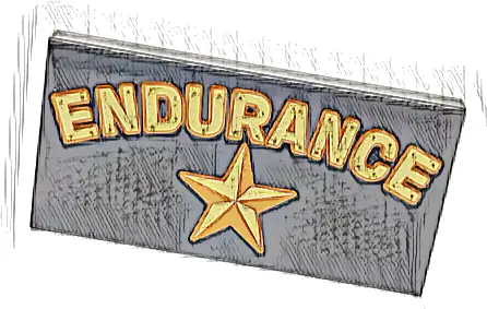 Tile 2 x 4 with Gold and Dark Orange 'ENDURANCE' and Star Pattern