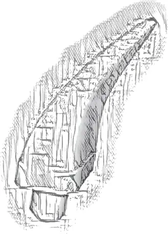 Barb / Claw / Horn / Tooth - Medium