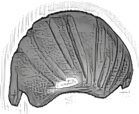 Minifigure, Hair Combed Front to Rear