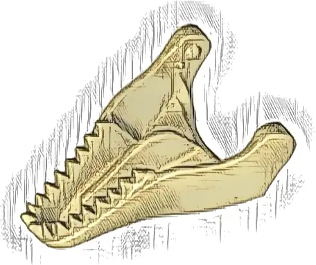 Dinosaur Jaw Lower Tyrannosaurus rex