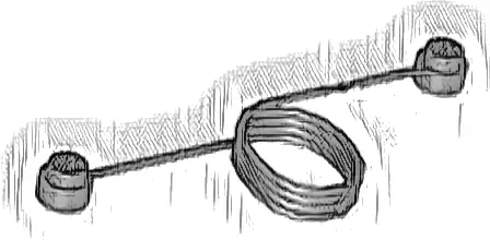 String with End Studs (30L Overall) with (Same Color) Studs Pattern