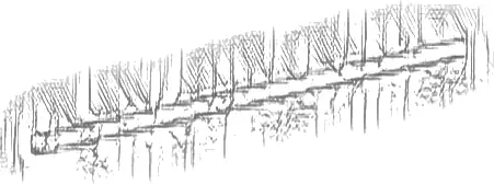 Electric, Fiber Optics Cable Wide 10L / 8.0cm