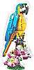 LEGO 31136 Creator 3 w 1 Egzotyczna papuga