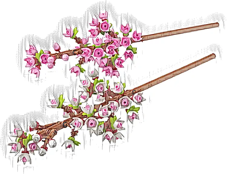 LEGO 40725 Kwiaty wiśni